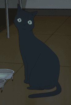 ターコ
