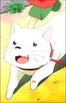 チェリー