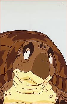 海亀