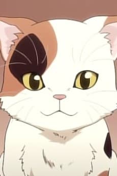 シャミセン