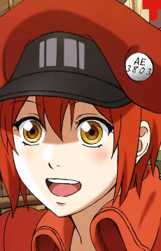 赤血球