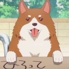 オーナー