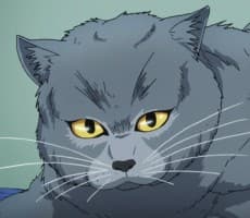 Tama