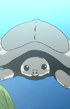 トンちゃん
