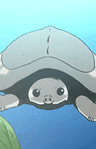 トンちゃん