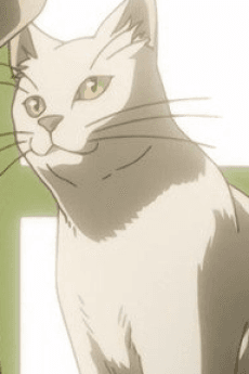 ティム