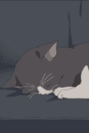 あずにゃん2号