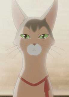 きなこ