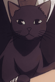 メミン