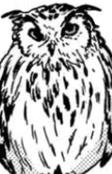 リガルド