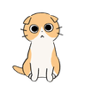 ながめるねこ