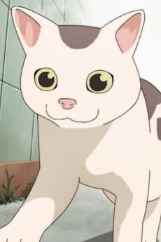 銀