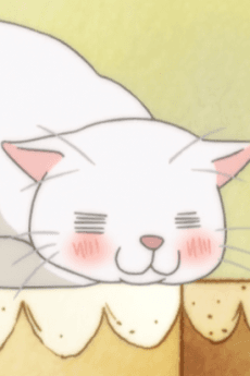 シロちゃん