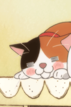 ミケちゃん