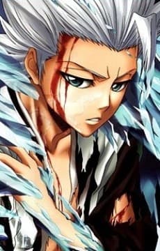日番谷冬獅郎