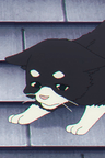 トム