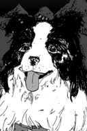 チャッピー