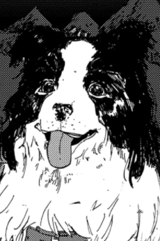 チャッピー