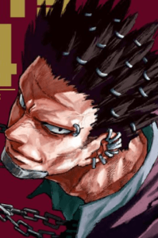 豹