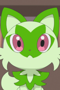 ニャオハ
