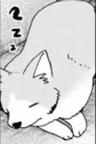 わん太郎