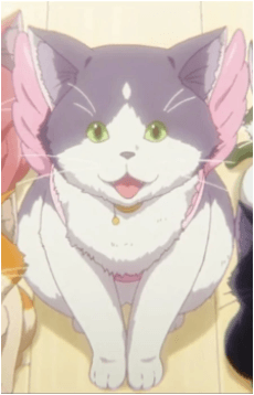 きめら