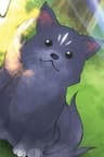 ナイト