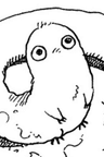 フデムシ