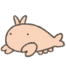 エビ