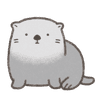 ラッコ