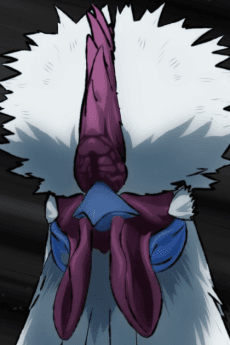 ケイスケ
