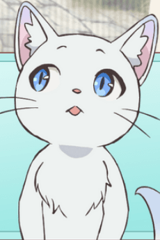 ヴェネ