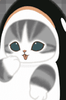 シャチにゃん