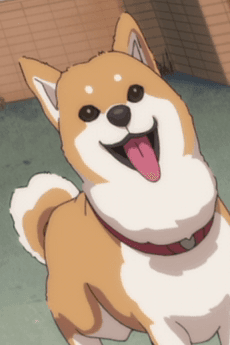こむぎ