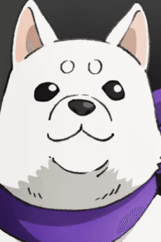 二狼