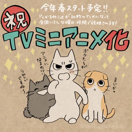 しかるねこ