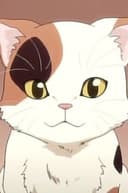 シャミセン