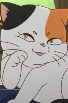花猫