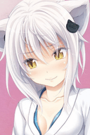 塔城小猫
