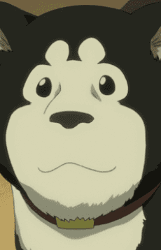 ブラックハヤテ