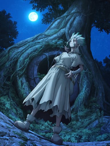 Dr.STONE NEW WORLD